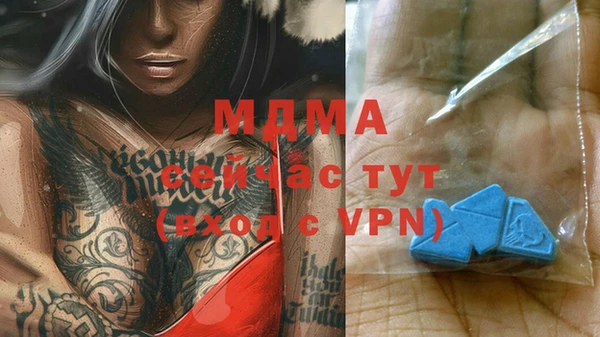 индика Абаза