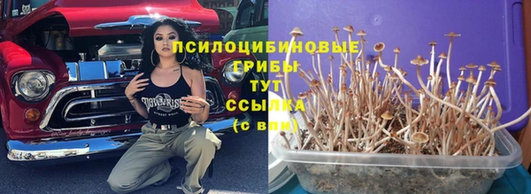 марки lsd Алзамай