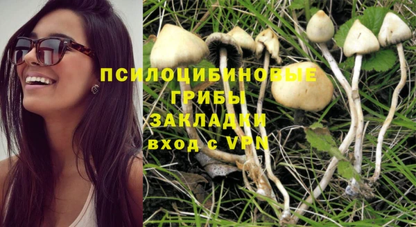 mix Алексин