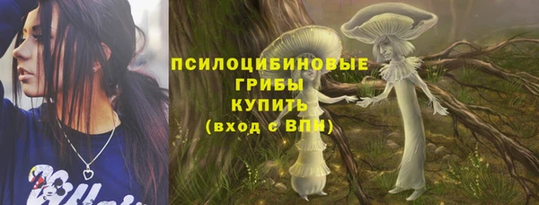 индика Абаза