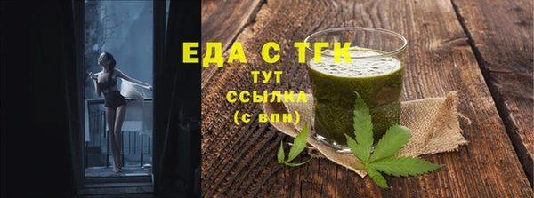 индика Абаза