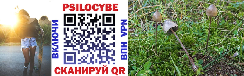 Галлюциногенные грибы Psilocybe  дарнет шоп  shop какой сайт  Северская 