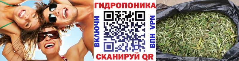 Бошки Шишки марихуана  Северская 